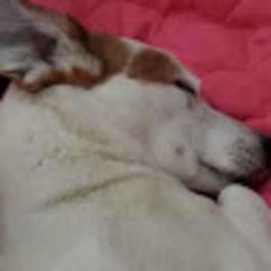 Meet your Posher, Crazy